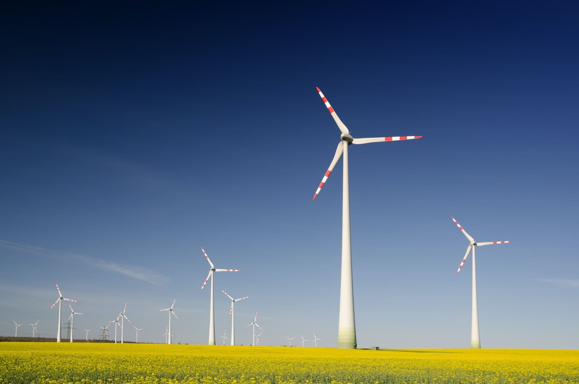 Energía renovable para el futuro