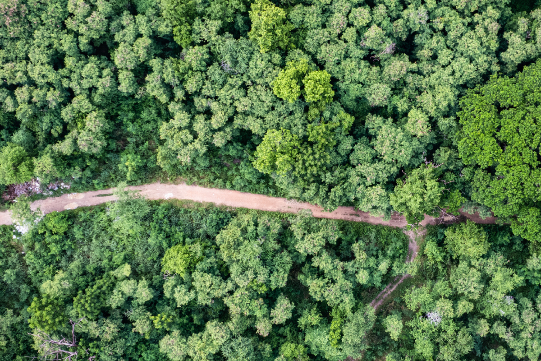 The 3 scopes of the carbon footprint