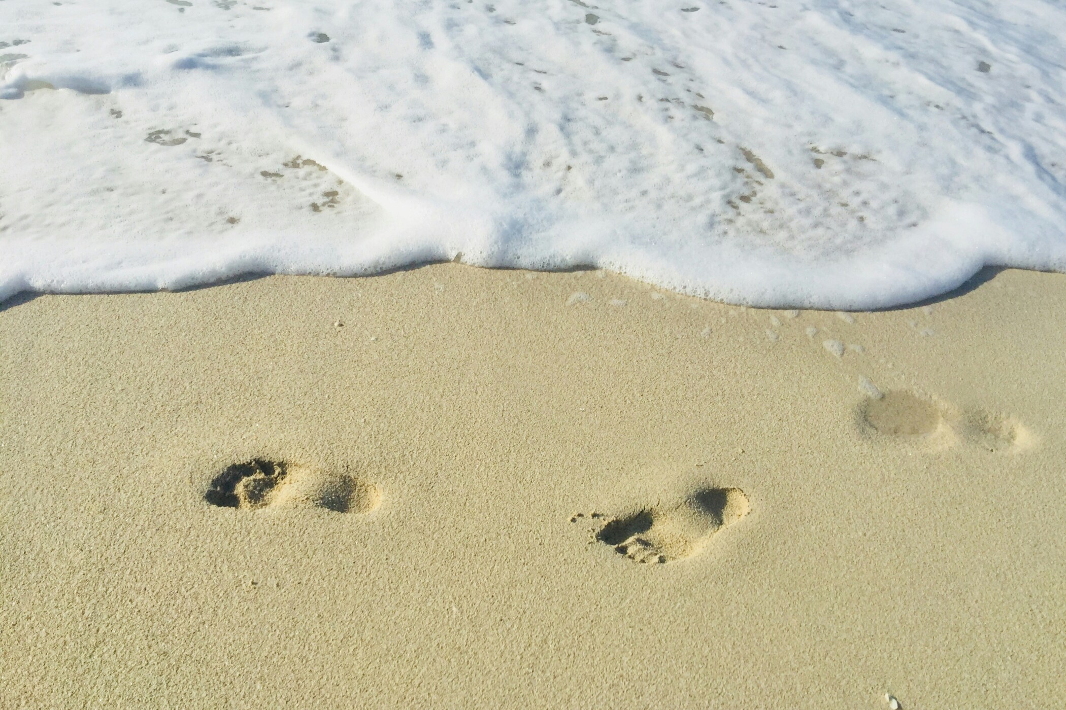 Water Footprint vs. Water Footprint ISO 14046-2014: Differences