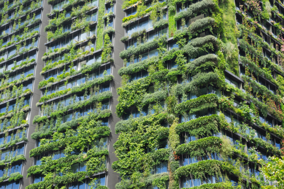 Nova directiva Green Claims: Evitant el Greenwashing