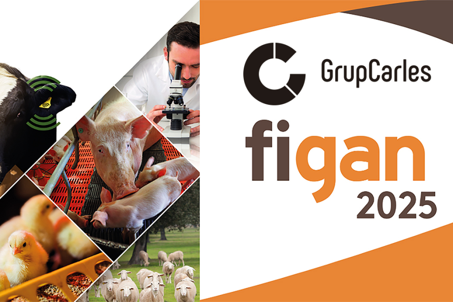 Grup Carles Enginyeria a FIGAN 2025: Innovació per al sector agroalimentari