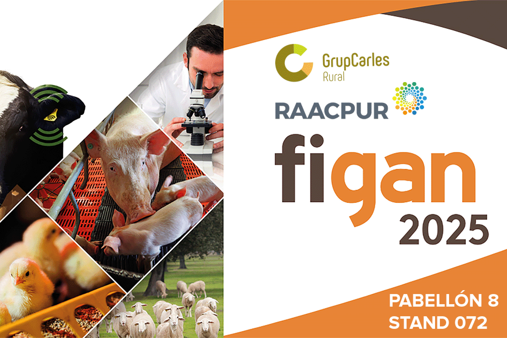 RAACPUR-Grup Carles Rural en FIGAN 2025: Soluciones sostenibles para el tratamiento de deyecciones de purines