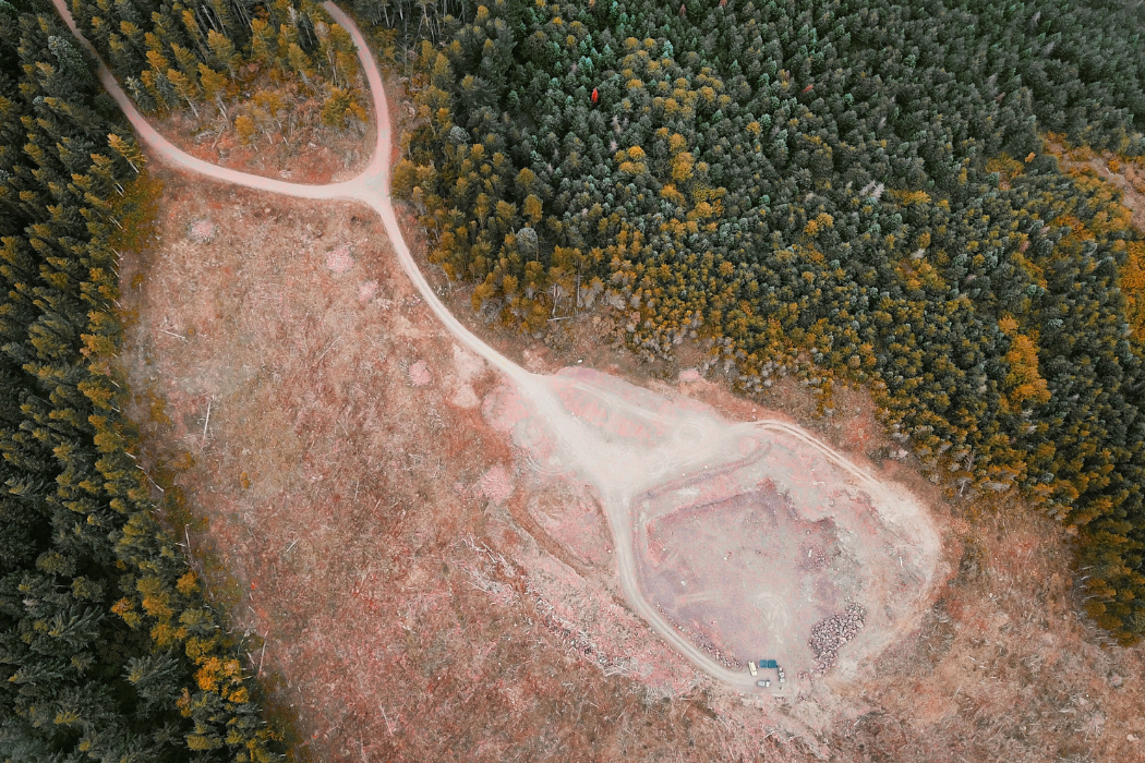 EUDR: el paso de la UE para limitar la deforestación en el mundo