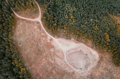 EUDR: el paso de la UE para limitar la deforestación en el mundo
