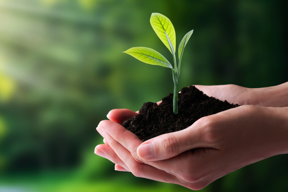Initial and periodic environmental controls in Catalonia: what your company needs to know