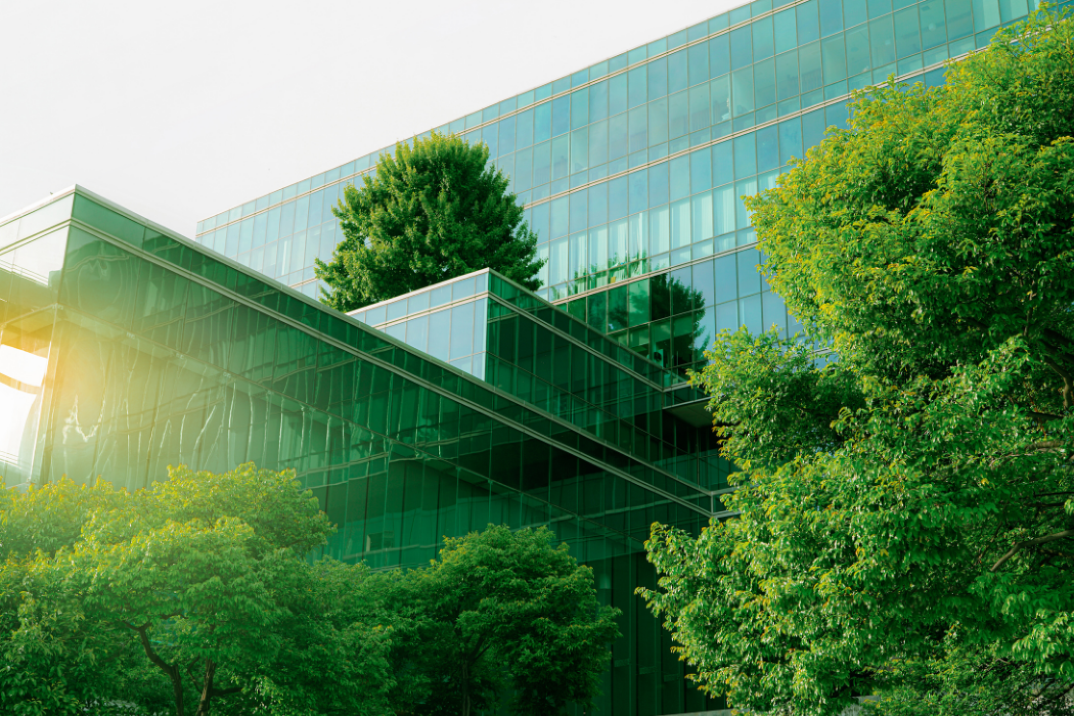Environmental assessment: more than just a formality, an opportunity for real improvement