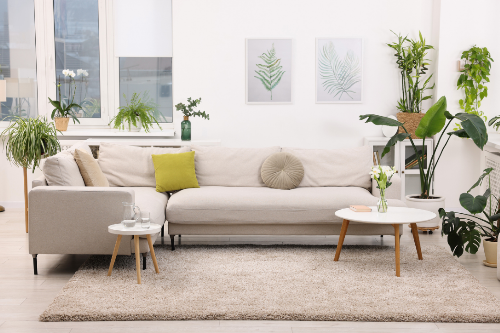 Feng Shui a la llar: com millorar el benestar i augmentar el valor del teu habitatge