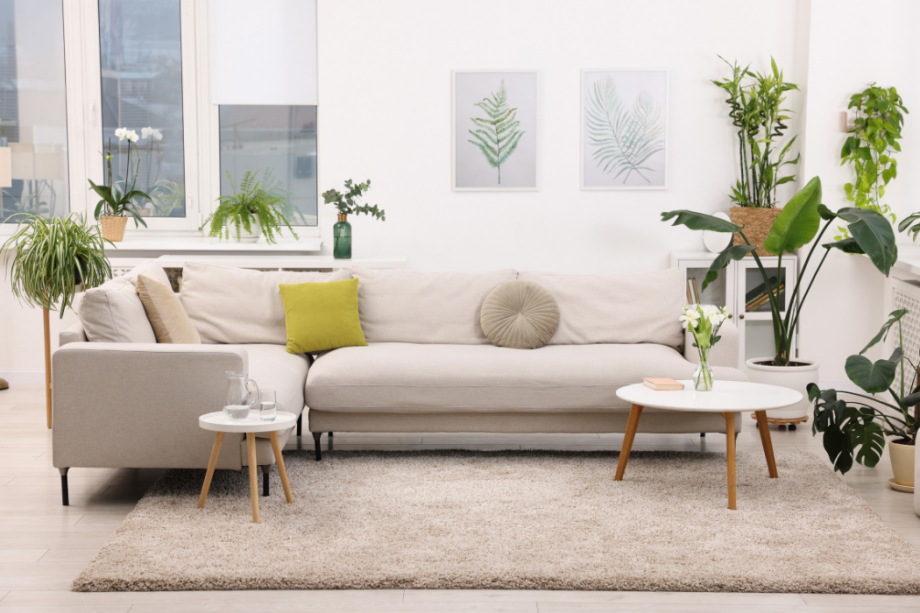 Feng Shui en el hogar: cómo mejorar el bienestar y aumentar el valor de tu vivienda