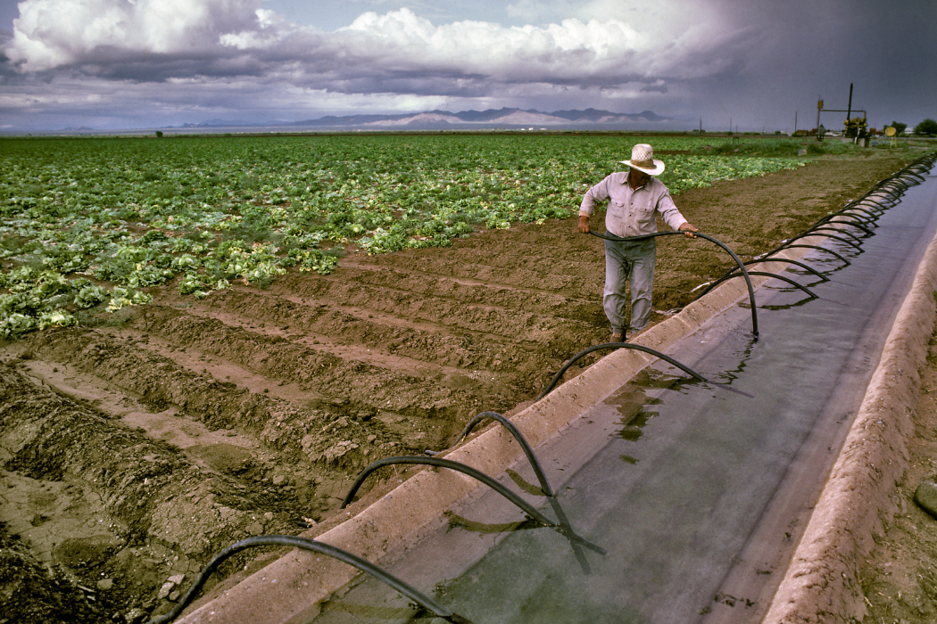 Tecnificació dels sistemes de reg a l’Equador: projecte de Grup Carles a Azuay amb impacte sostenible