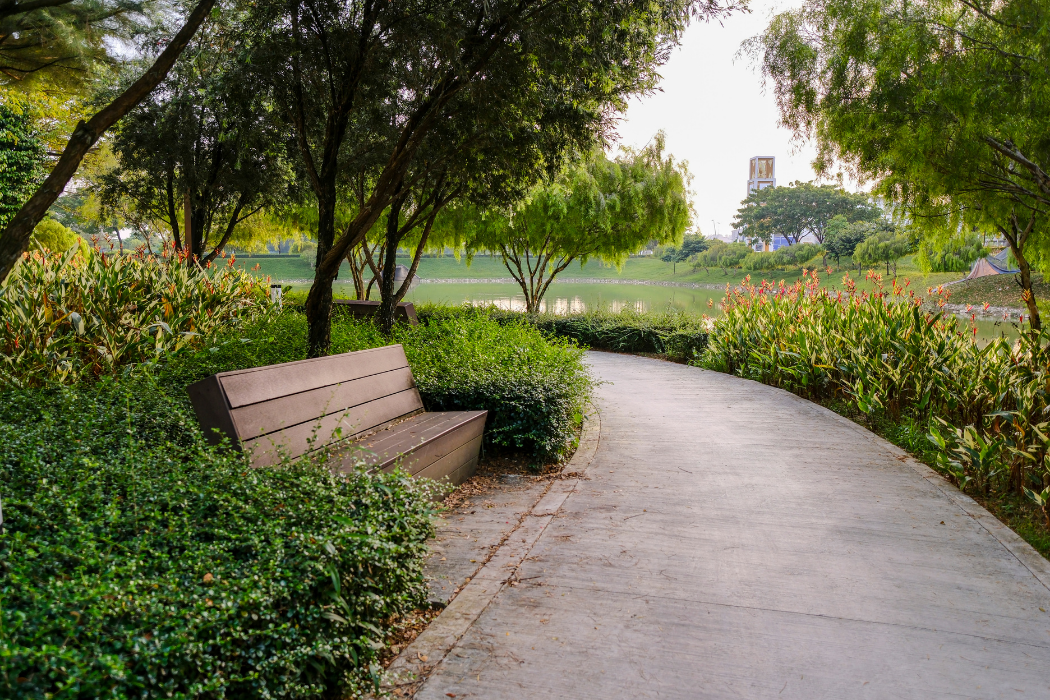Estudis d’impacte ambiental: planificació territorial i visió empresarial