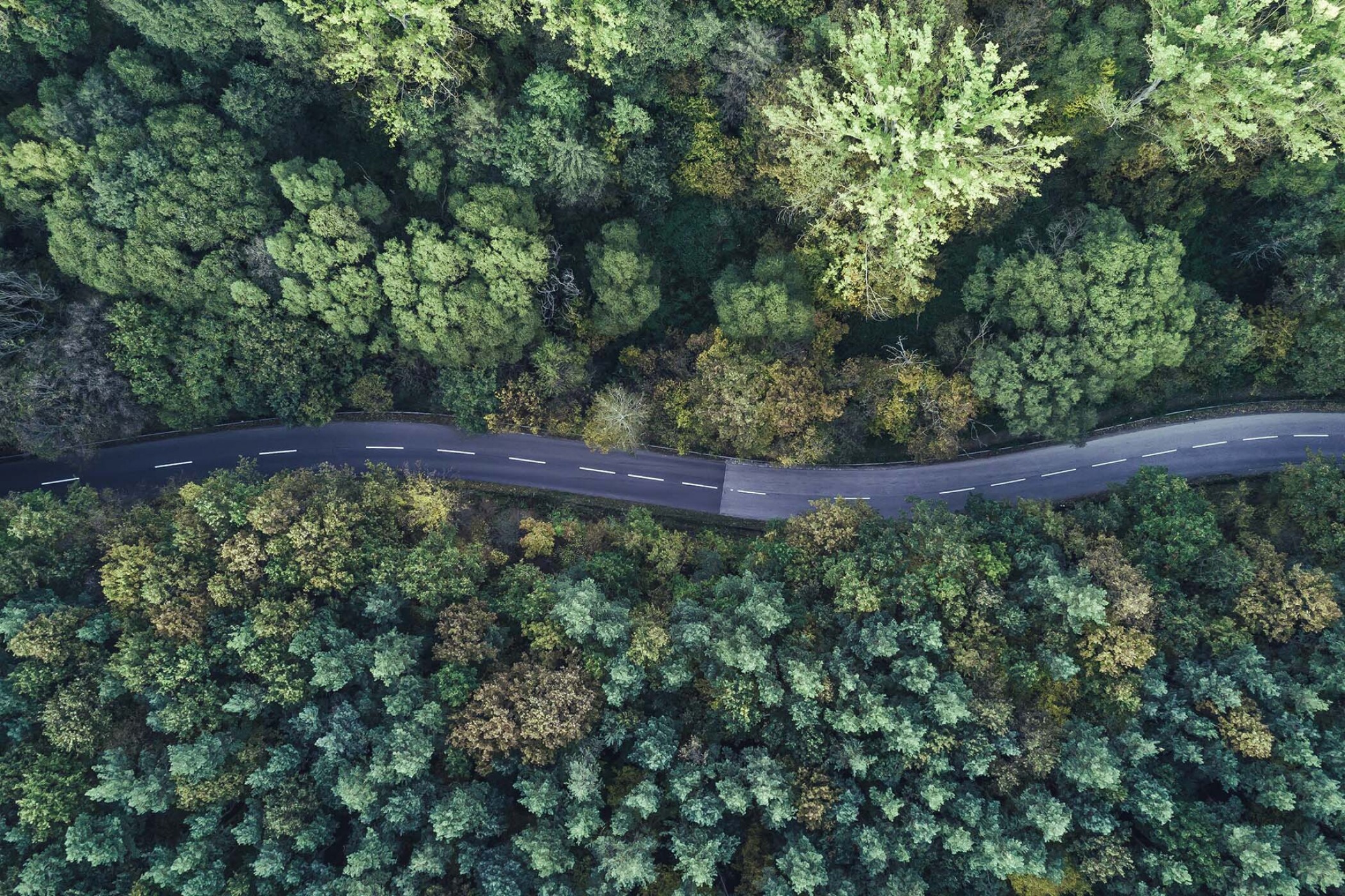How life cycle analysis can improve competitiveness and business transparency
