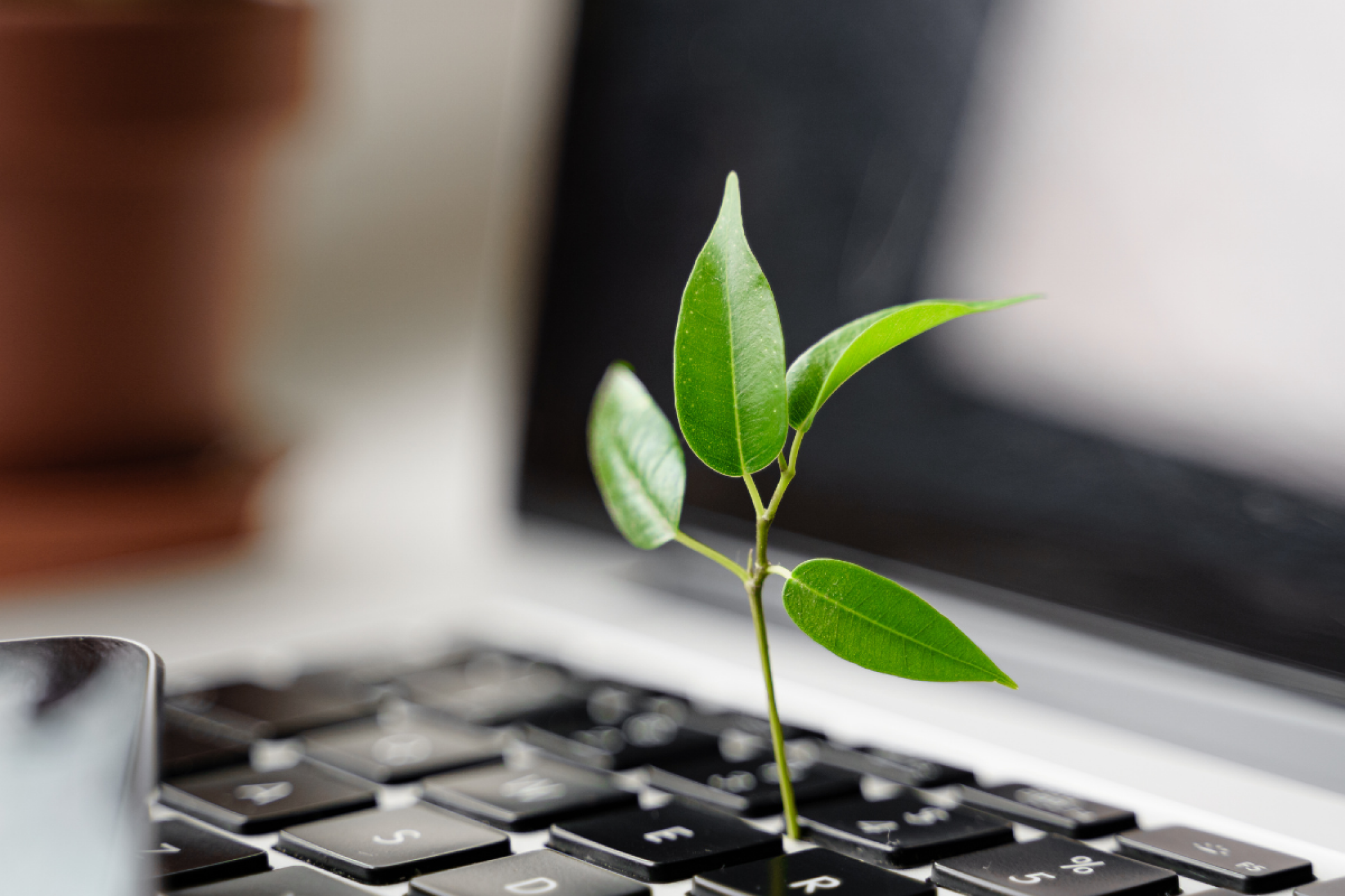 Update of Emission Factors for Carbon Footprint Calculation