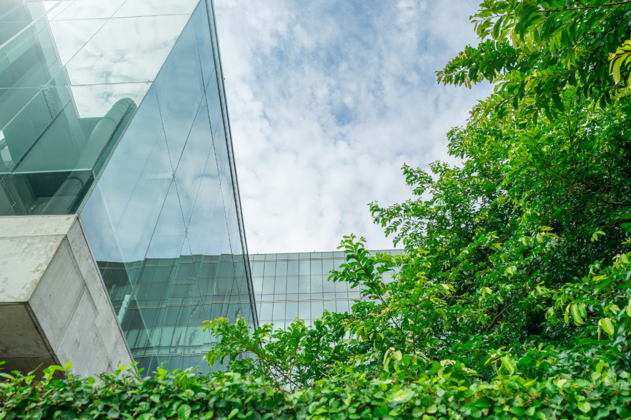 Certificado BREEAM®: ¿En qué consiste?