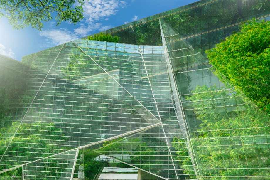 Com sol·licitar els cupons d'ACCIÓ #Green 2025