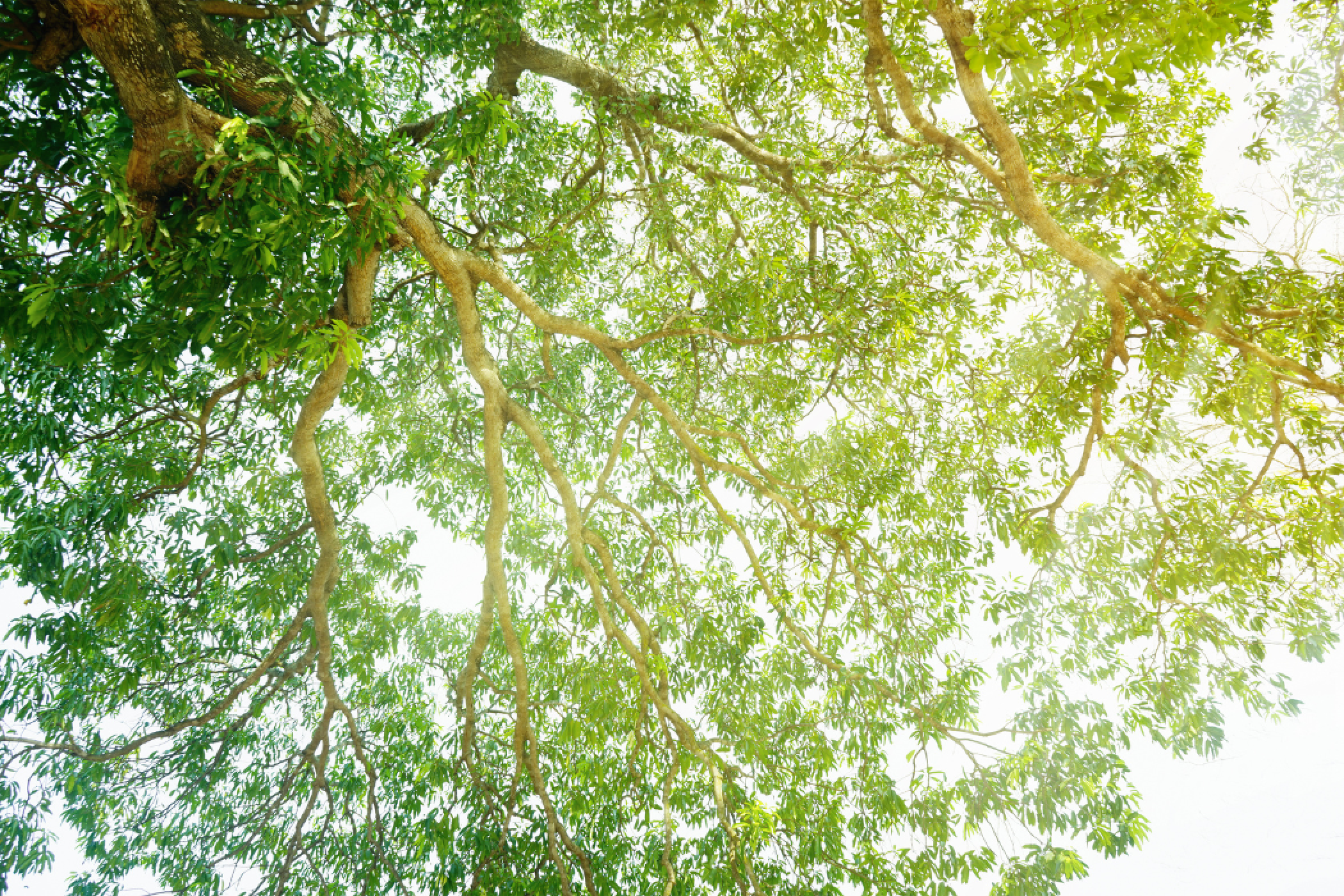 The engineering and sustainability consulting division obtains ISO 9001 and ISO 14001 certifications