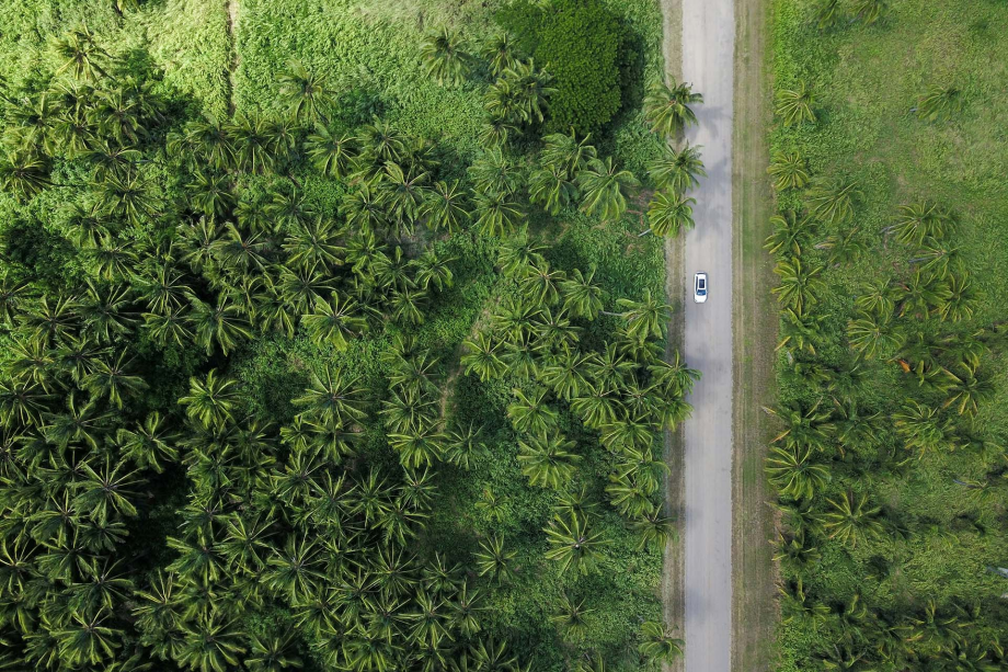 CBAM: A crucial tool in the fight against climate change