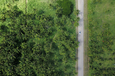  CBAM: Una herramienta crucial en la lucha contra el cambio climático