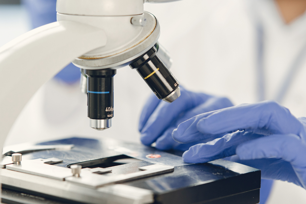Nuevo proyecto en marcha: Bobi Lab UPC