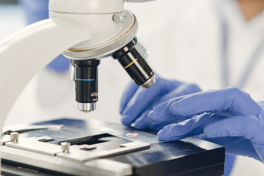 Nou projecte en marxa: Bobi Lab UPC