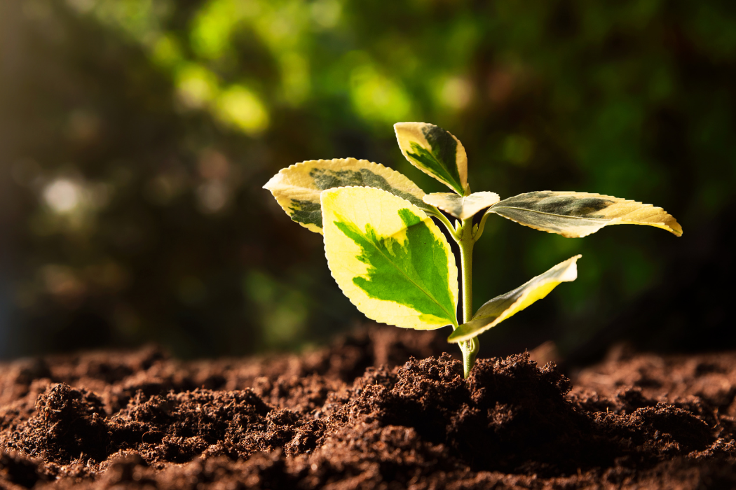 El registro PRTR: Un instrumento esencial para el control ambiental 