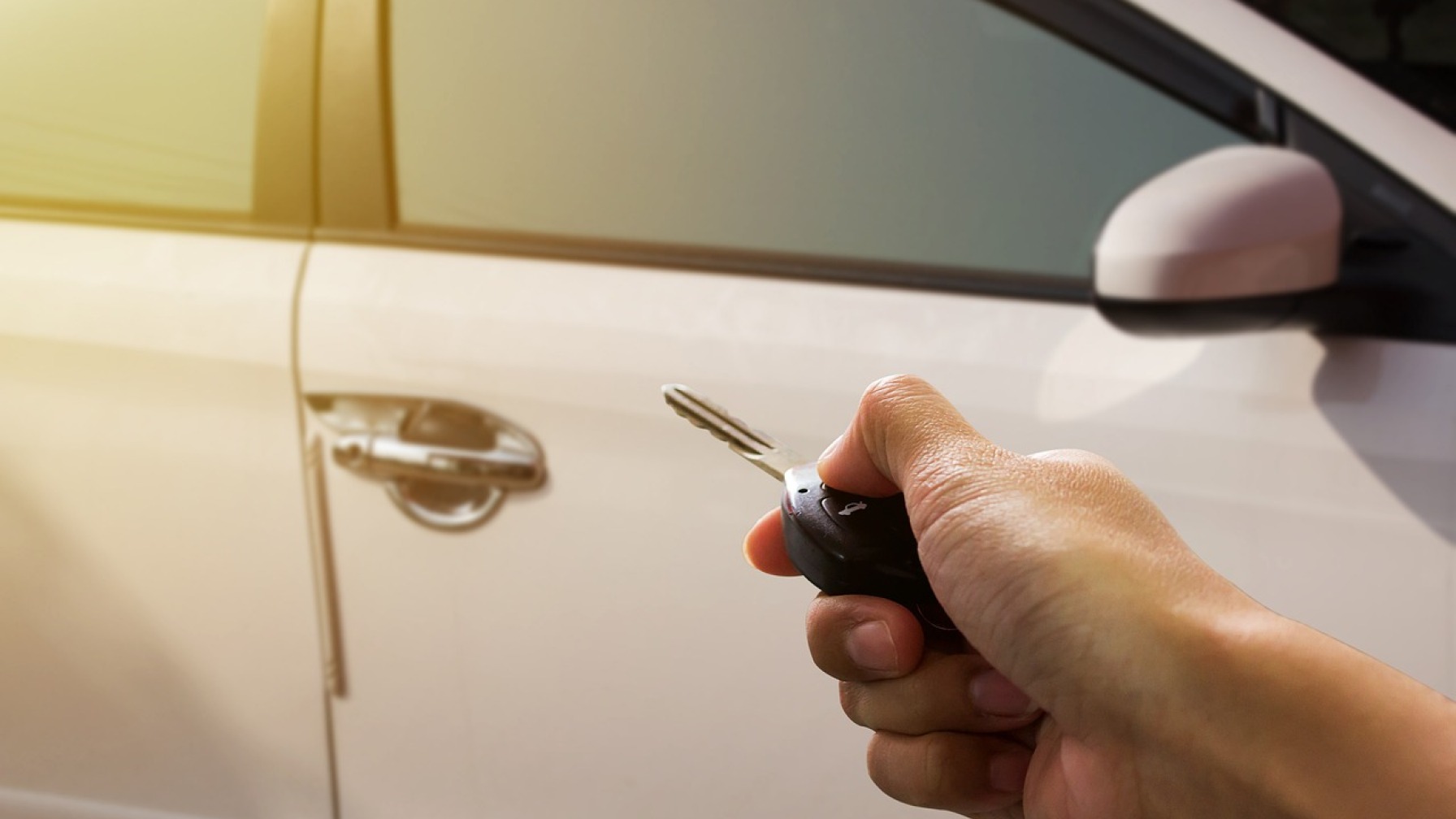 Vehicle transfer | The safest path for your procedures.