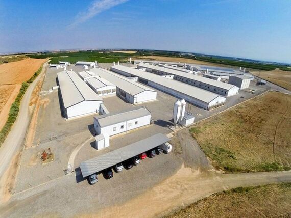 Construcció de la nova fàbrica de pinsos a Fraga: impulsant la indústria agroalimentària de la zona