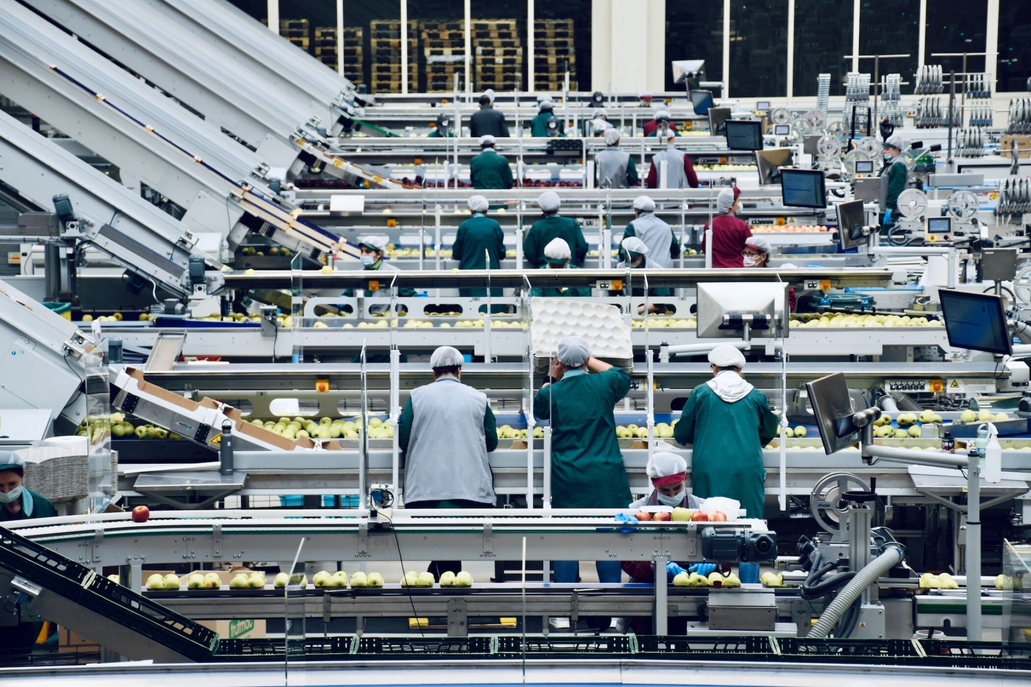 Implementing an Agri-food Industry in Sant Salvador de Guardiola: An Integral and Sustainable Solution