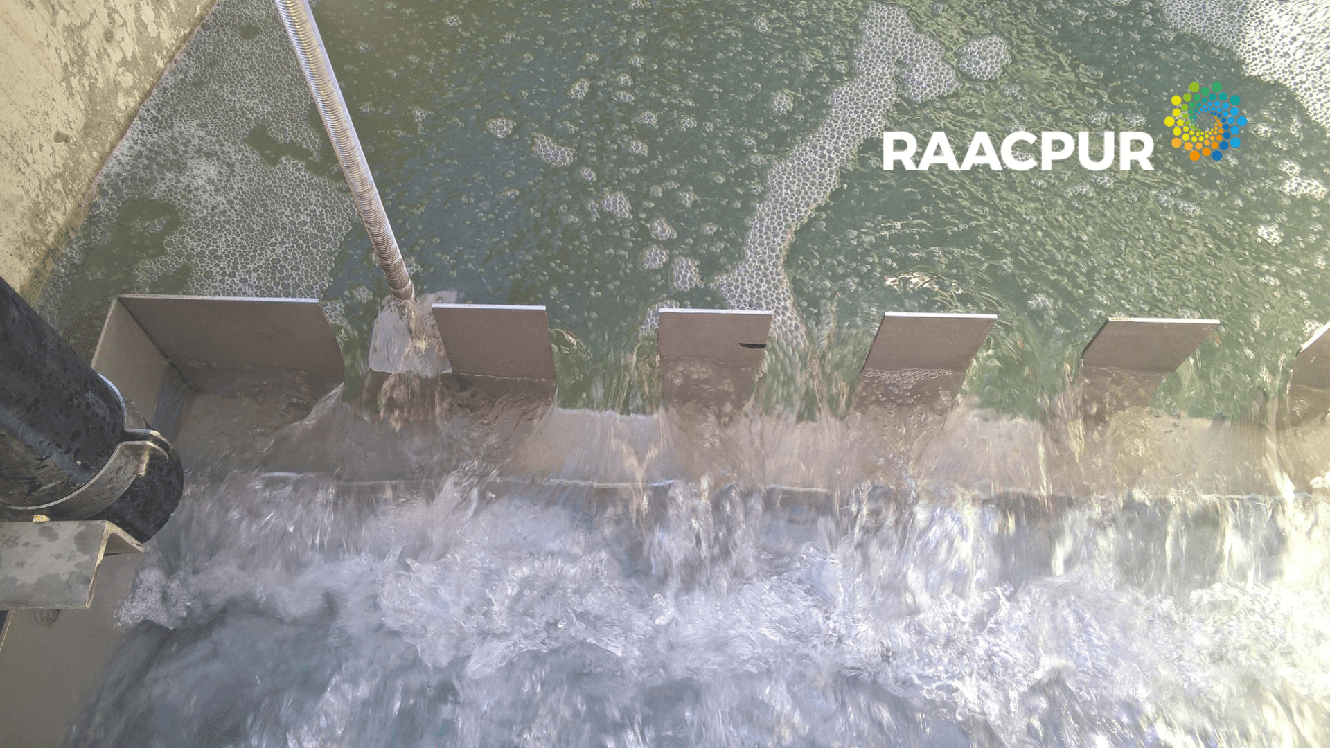 Building a Biological Treatment Plant that Transforms Pig Manure into Organic Fertilizer for Sustainable Cultivation