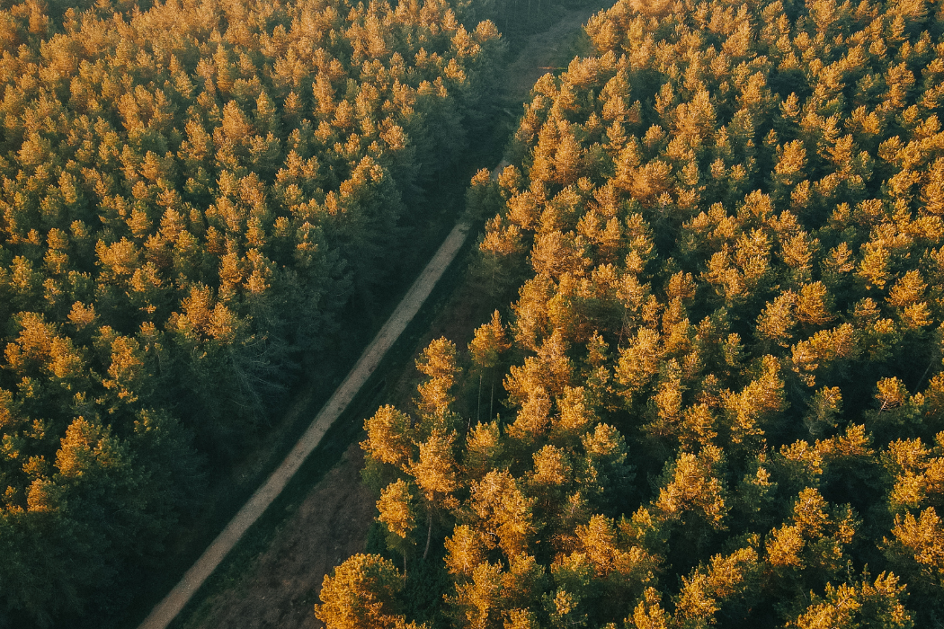 Environmental consulting | 