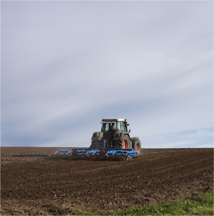 Rural | We promote our farmers and livestock breeders.
