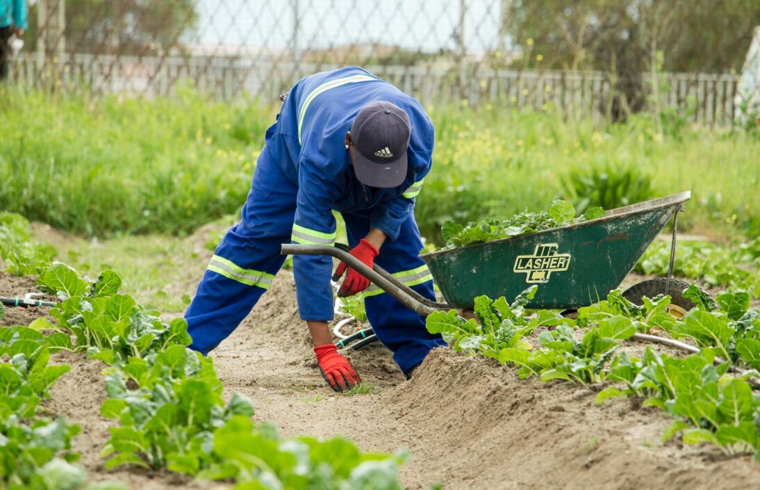 Social economy | We promote the social and solidarity economy.