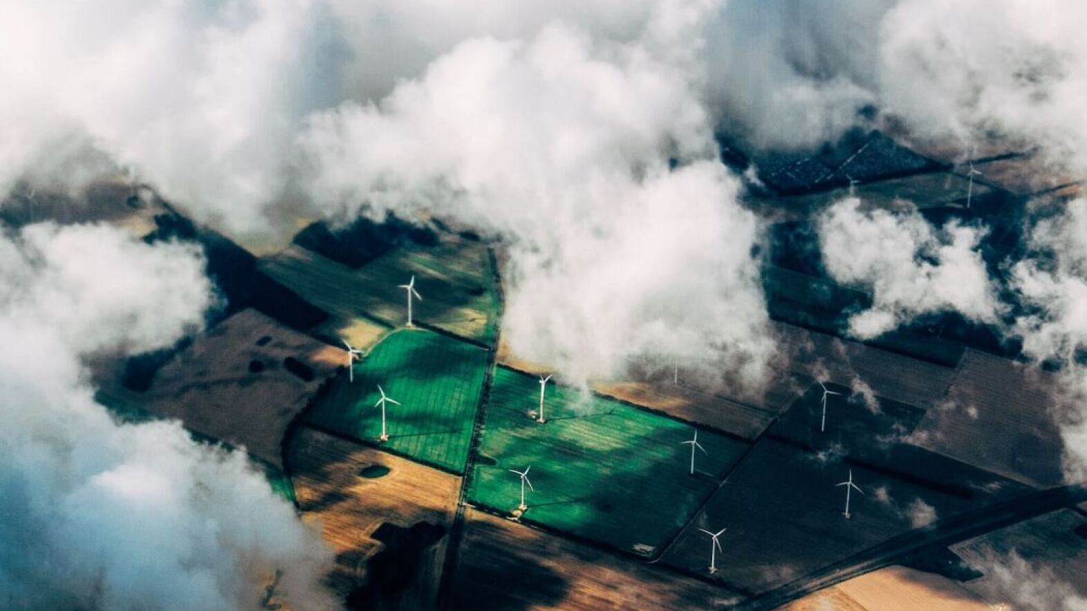 Environmental impact studies
