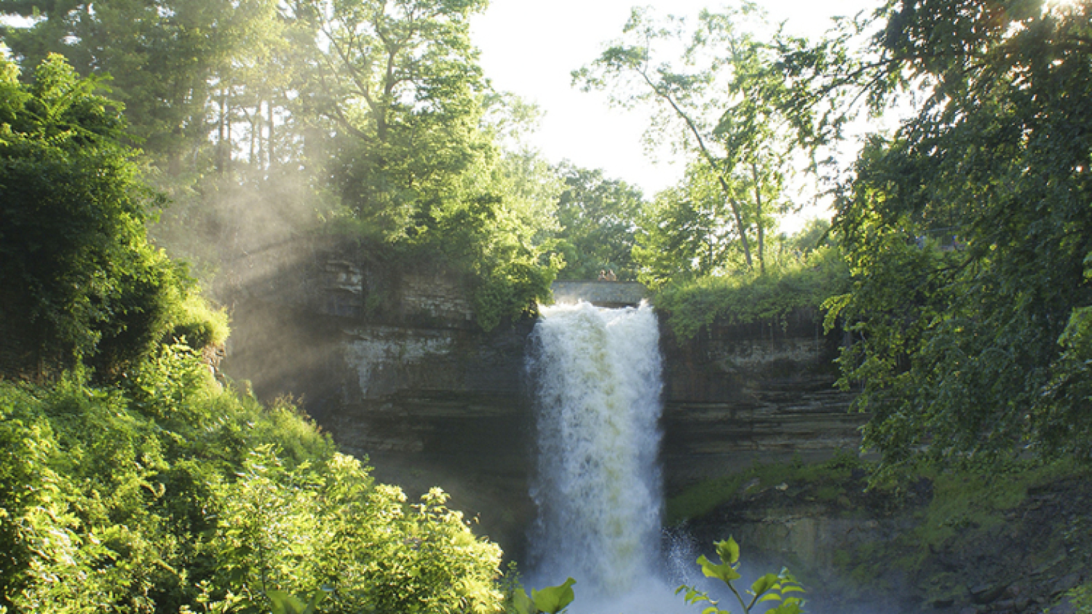 What are environmental licenses?